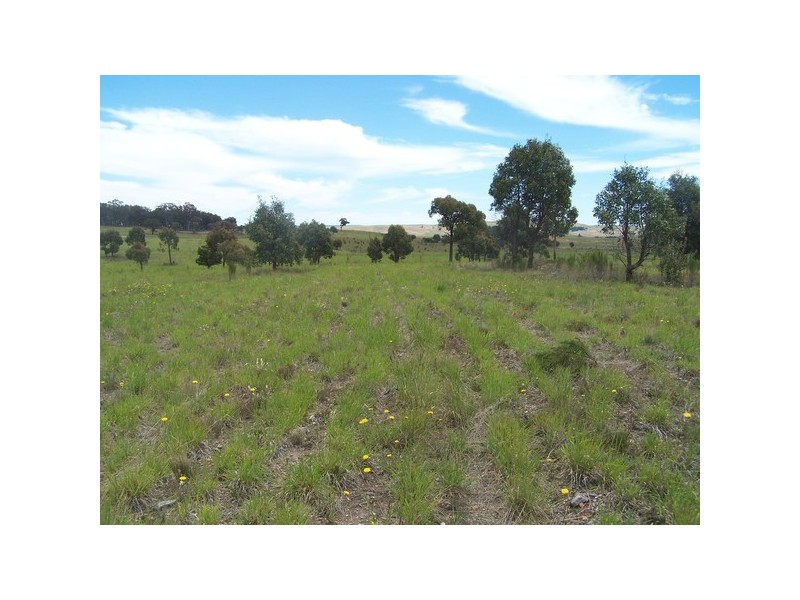 Lot 5 Off Trappers Way, Woodhouselee NSW 2580