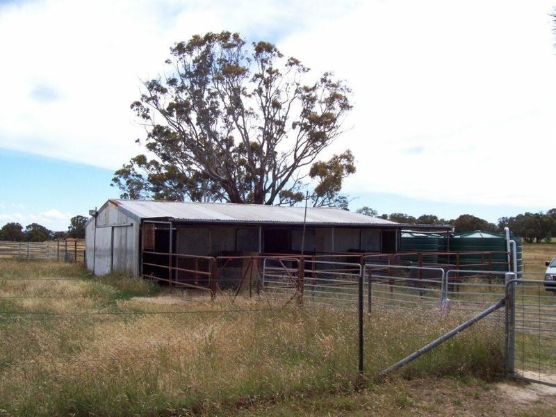 326 Breadalbane Road, Collector NSW 2581