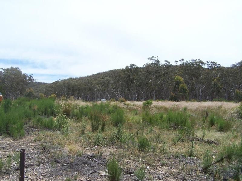 Lot 10 288 Mount Baw Baw Road, Goulburn NSW 2580
