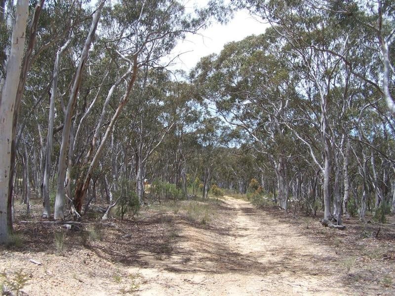 Lot 10 288 Mount Baw Baw Road, Goulburn NSW 2580
