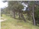 Lot 10 288 Mount Baw Baw Road, Goulburn NSW 2580