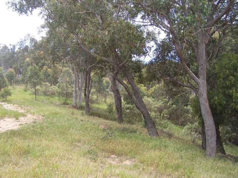 Lot 10 288 Mount Baw Baw Road, Goulburn NSW 2580