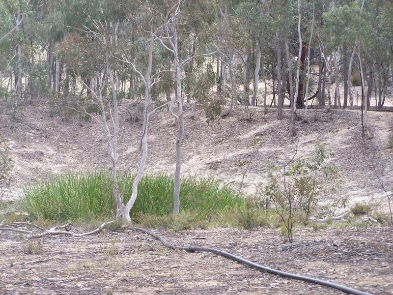 285 Gumnut Crescent, Bungonia NSW 2580