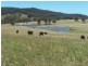 1344 Bannaby Road, Taralga NSW 2580