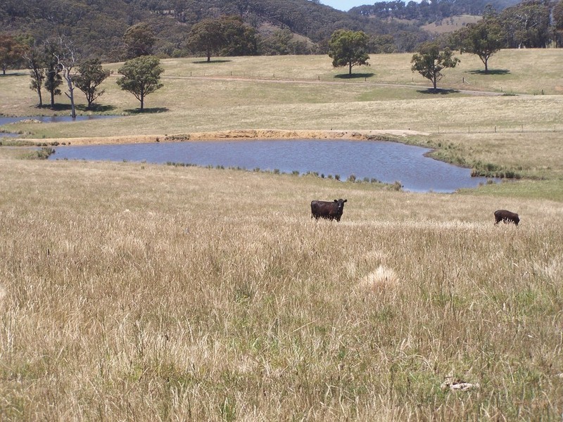 1344 Bannaby Road, Taralga NSW 2580