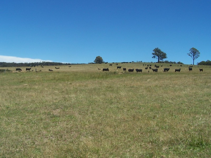 1344 Bannaby Road, Taralga NSW 2580