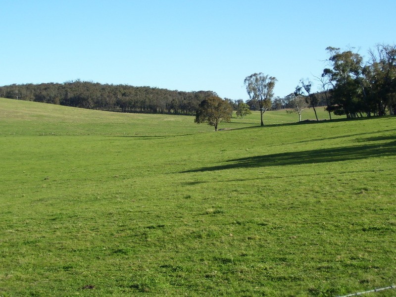 1344 Bannaby Road, Taralga NSW 2580