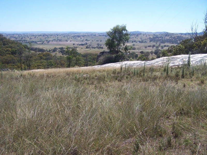 Lot 1 Reids Flat Road, Bigga NSW 2583