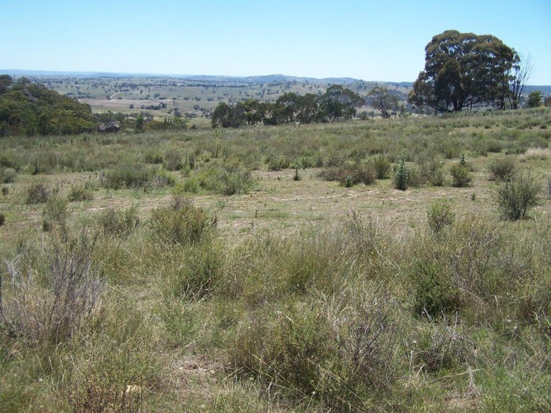 Lot 1 Reids Flat Road, Bigga NSW 2583