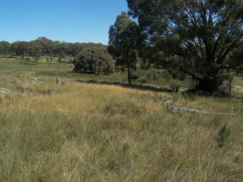 Lot 1 Reids Flat Road, Bigga NSW 2583