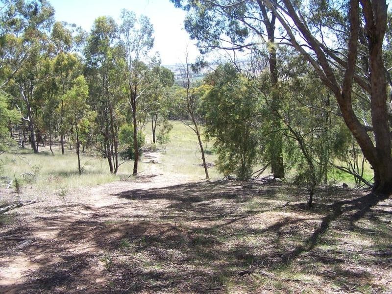 Lot 2 Reids Flat Road, Bigga NSW 2583