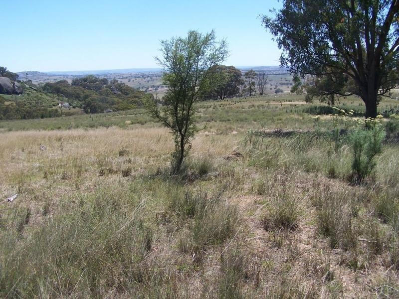 Lot 2 Reids Flat Road, Bigga NSW 2583