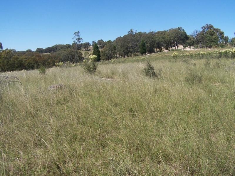 Lot 2 Reids Flat Road, Bigga NSW 2583