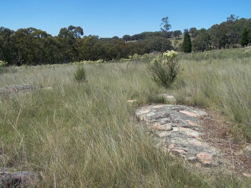 Lot 2 Reids Flat Road, Bigga NSW 2583