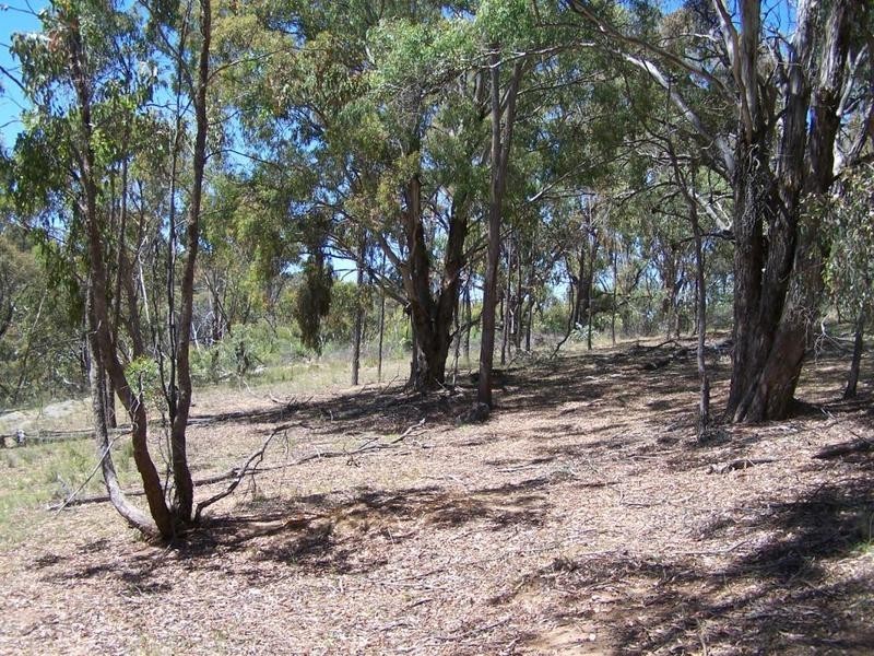 Lot 2 Reids Flat Road, Bigga NSW 2583