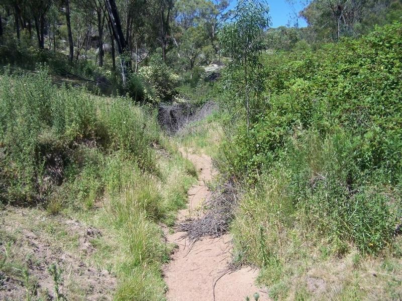 Lot 2 Reids Flat Road, Bigga NSW 2583