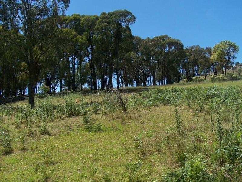 Lot 2 Reids Flat Road, Bigga NSW 2583