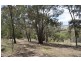 Lot 2 Reids Flat Road, Bigga NSW 2583