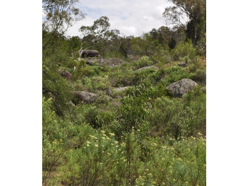 Lot 2 Reids Flat Road, Bigga NSW 2583