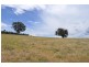 Lot 2 Reids Flat Road, Bigga NSW 2583