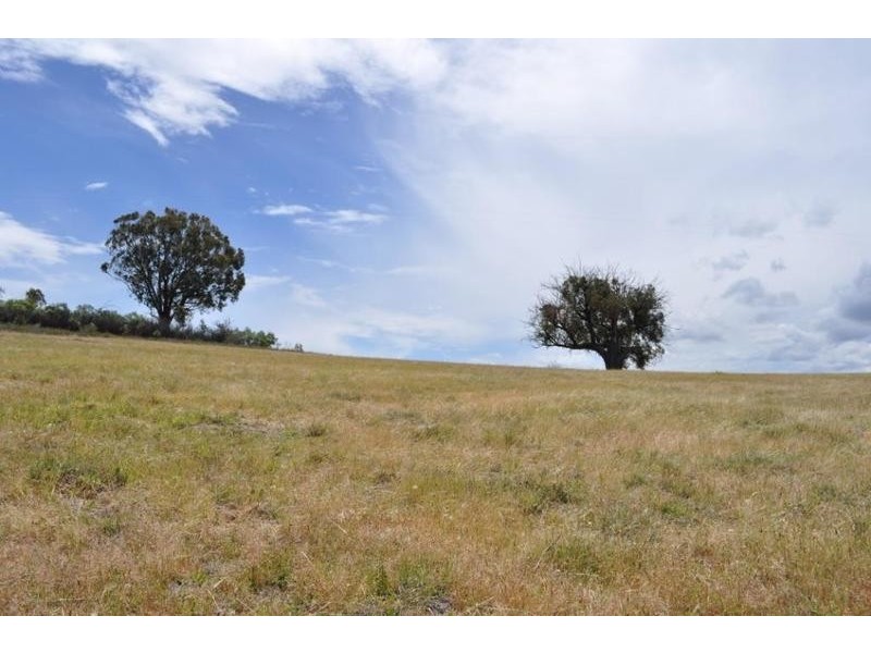 Lot 2 Reids Flat Road, Bigga NSW 2583