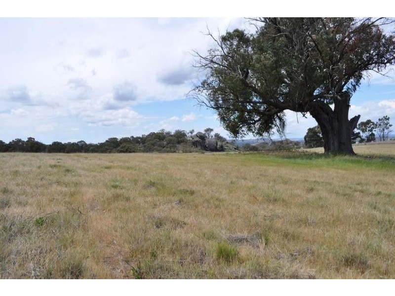 Lot 2 Reids Flat Road, Bigga NSW 2583
