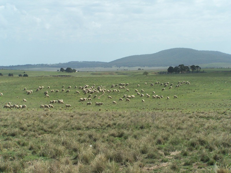 28 Kingsdale Road, Goulburn NSW 2580