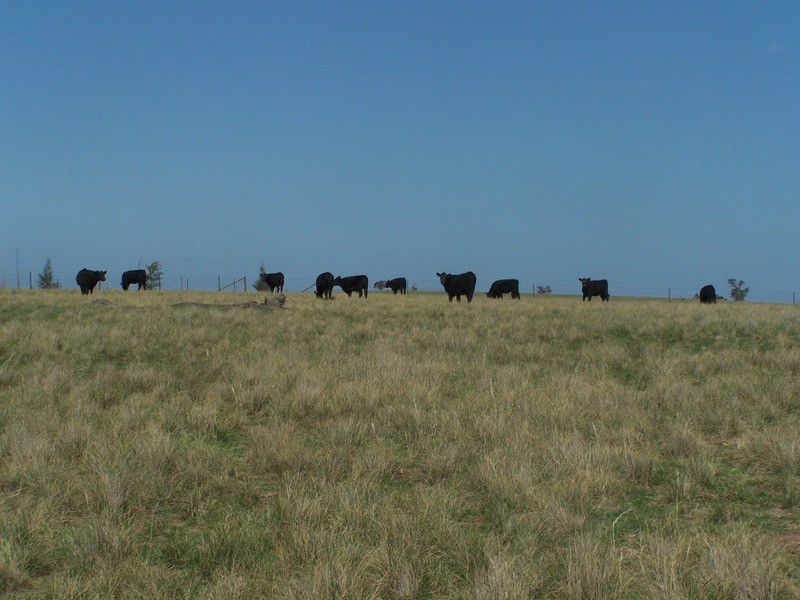 28 Kingsdale Road, Goulburn NSW 2580