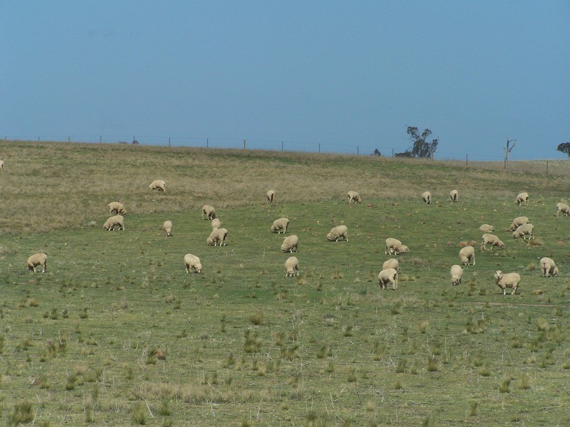 28 Kingsdale Road, Goulburn NSW 2580