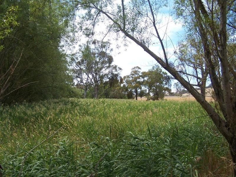 * “Mount View” Sapphire Road, Gunning NSW 2581