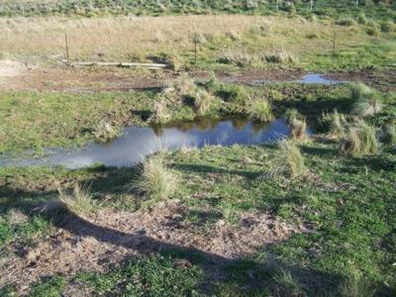 1459 Taralga Road, Tarlo NSW 2580