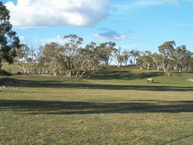 1459 Taralga Road, Tarlo NSW 2580