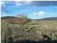 1459 Taralga Road, Tarlo NSW 2580