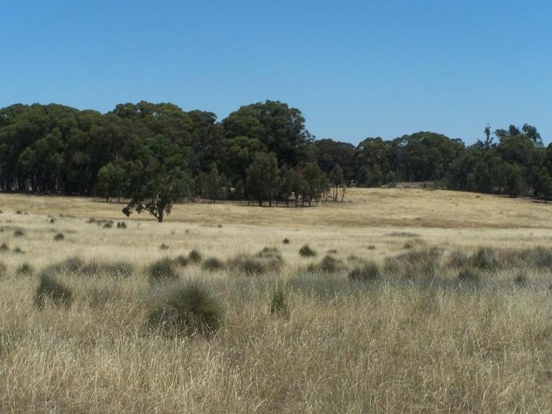 Lot 3 Tyrl Tyrl Road, Golspie NSW 2580