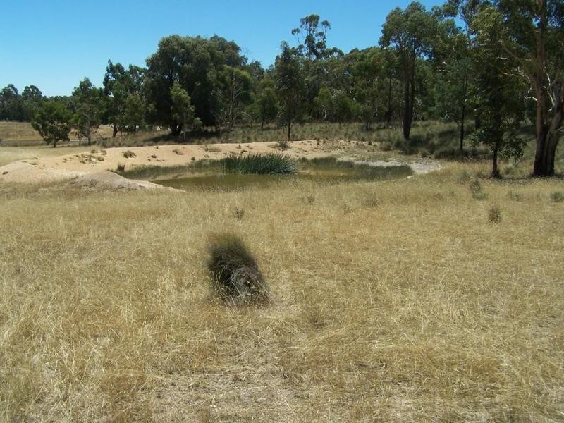Lot 3 Tyrl Tyrl Road, Golspie NSW 2580