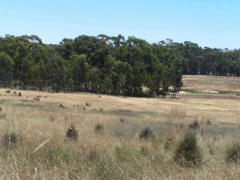 Lot 3 Tyrl Tyrl Road, Golspie NSW 2580