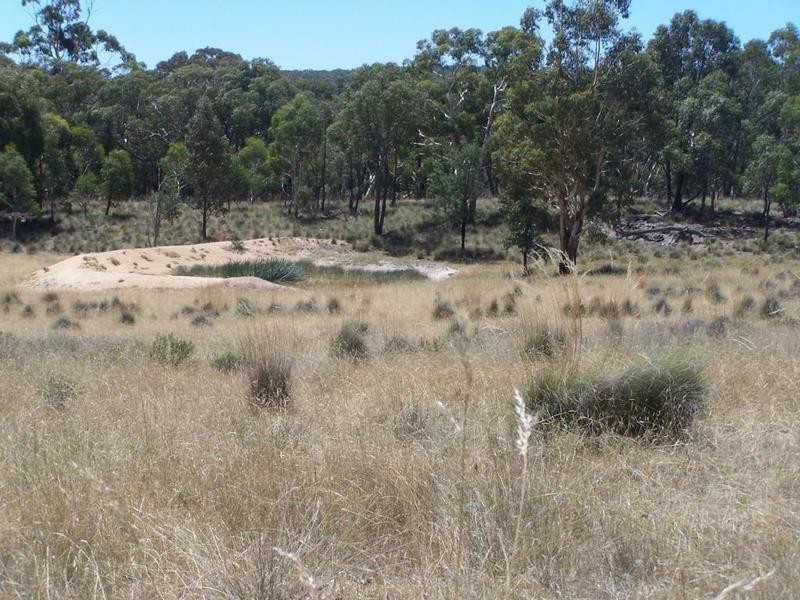 Lot 3 Tyrl Tyrl Road, Golspie NSW 2580