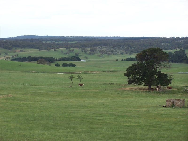 168 Cockatoo Road, Taralga NSW 2580