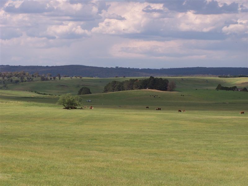 168 Cockatoo Road, Taralga NSW 2580