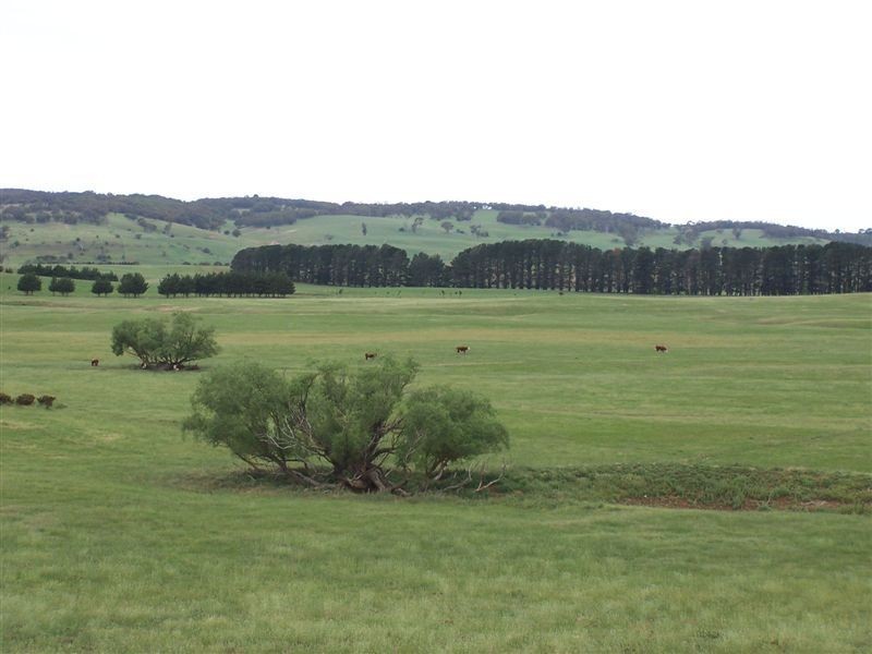 168 Cockatoo Road, Taralga NSW 2580