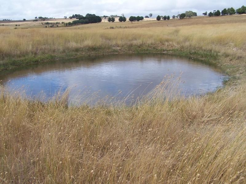 Lot 1 Glen Erin Road, Grabben Gullen NSW 2583