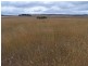 Lot 1 Glen Erin Road, Grabben Gullen NSW 2583