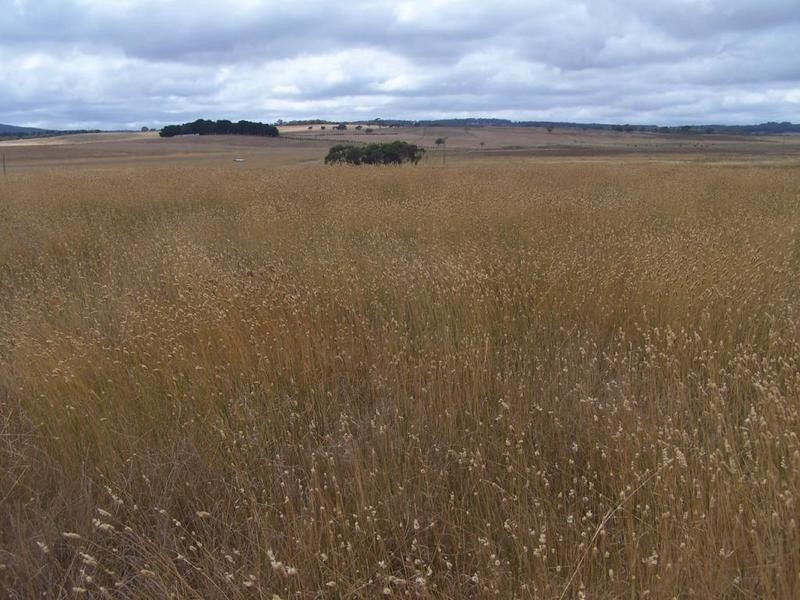 Lot 1 Glen Erin Road, Grabben Gullen NSW 2583