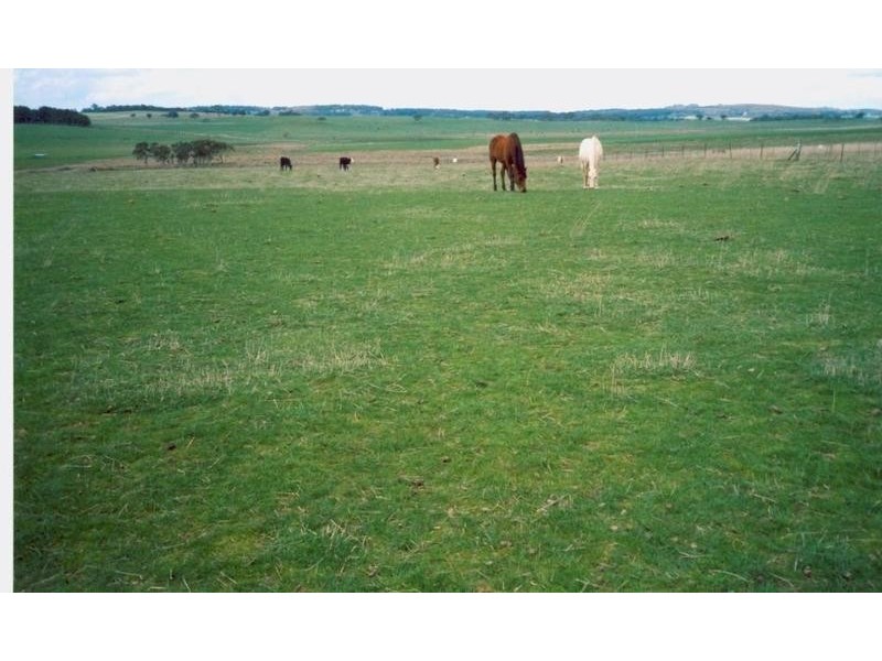 Lot 1 Glen Erin Road, Grabben Gullen NSW 2583