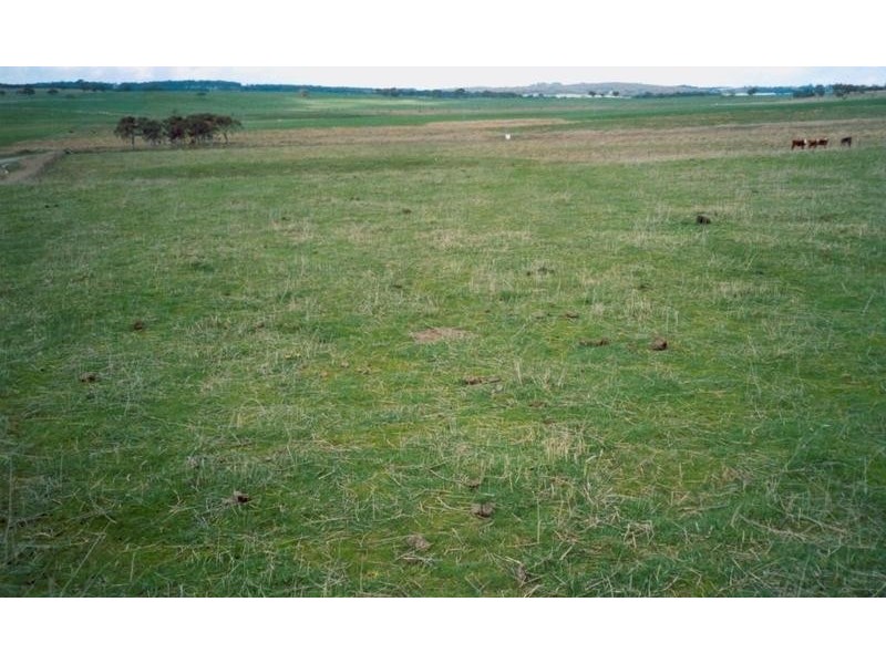 Lot 1 Glen Erin Road, Grabben Gullen NSW 2583