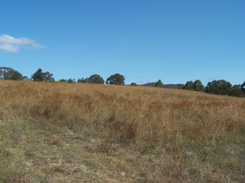 436 Boxers Creek Road, Goulburn NSW 2580