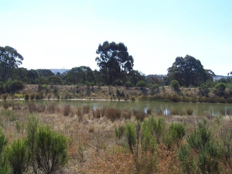 436 Boxers Creek Road, Goulburn NSW 2580