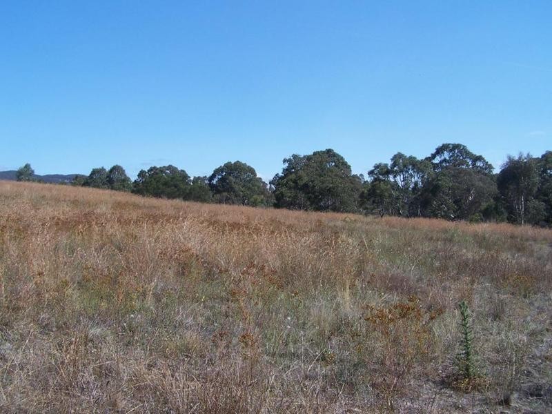 436 Boxers Creek Road, Goulburn NSW 2580