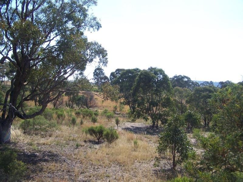 436 Boxers Creek Road, Goulburn NSW 2580