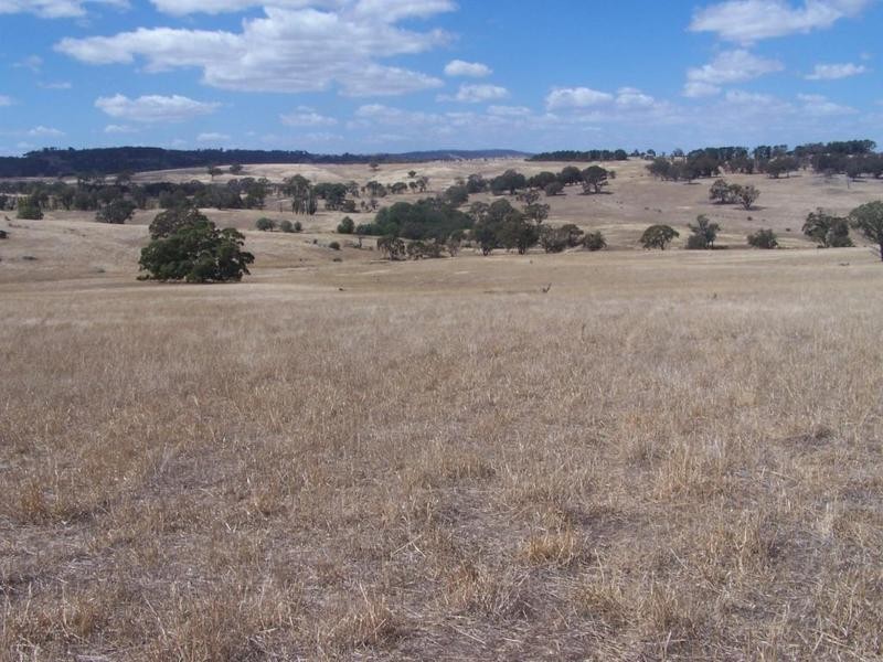 3 Sapphire Road, Gunning NSW 2581
